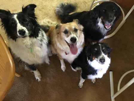 zak and friends